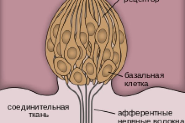 Кракен пх